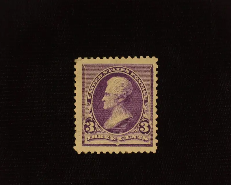 #221 Choice. Large margin stamp with deep color. Mint Vf/Xf LH - US Stamp